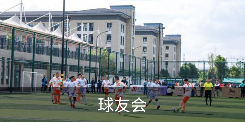 球友会简介